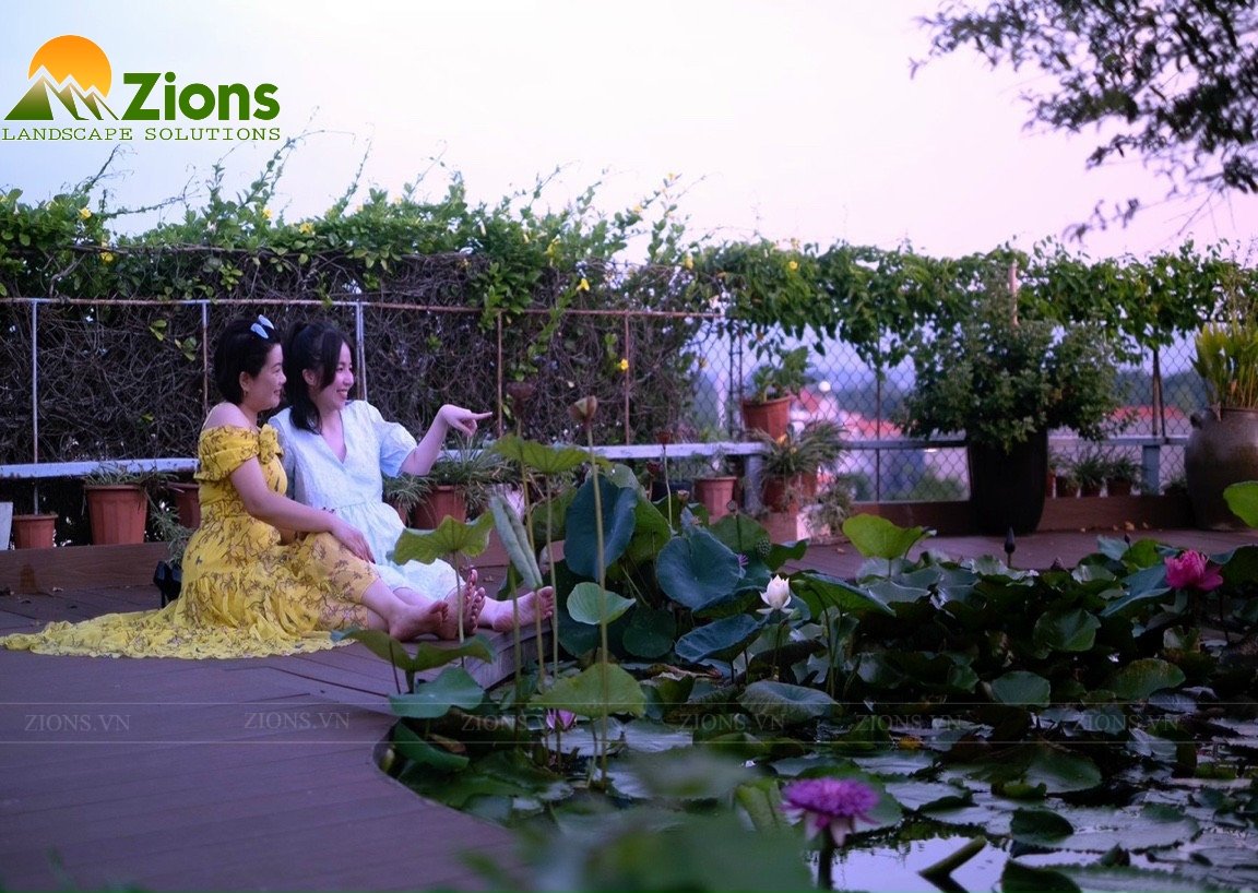 thiết kế thi công vườn sân thượng đẹp - zions